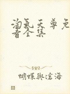 淘气天尊免费观看全集