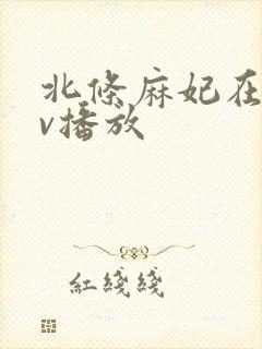 北条麻妃在线av播放