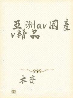 亚洲av国产av精品