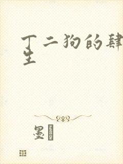 丁二狗的肆意人生