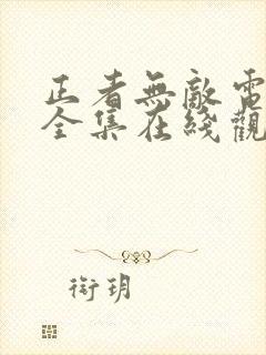 正者无敌电视剧全集在线观看免费