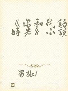 《你和我的倾城时光》小说封面