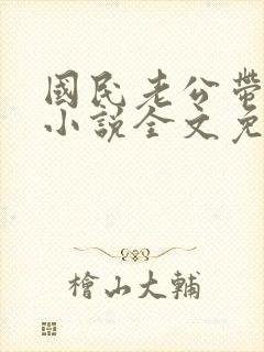 国民老公带回家小说全文免费阅读