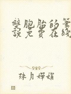 双胞胎的笔记小说免费在线阅读