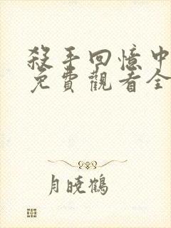 杀手回忆中文版免费观看全集