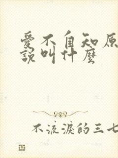 爱不自知原著小说叫什么