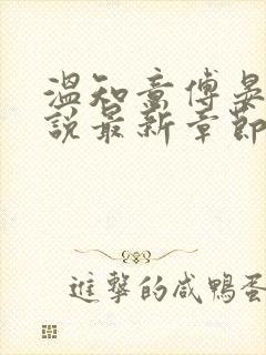 温知意傅晏琛小说最新章节