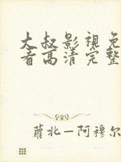 大叔影视免费观看高清完整版