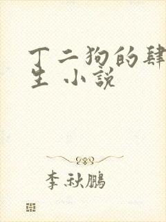 丁二狗的肆意人生 小说