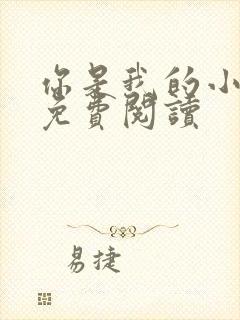 你是我的小确幸免费阅读