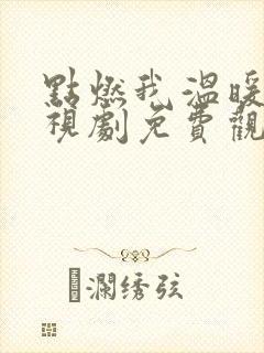 点燃我温暖你电视剧免费观看完整