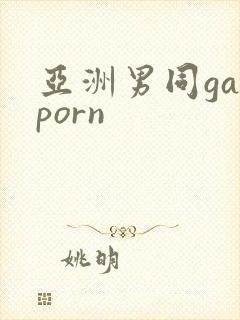 亚洲男同gayporn