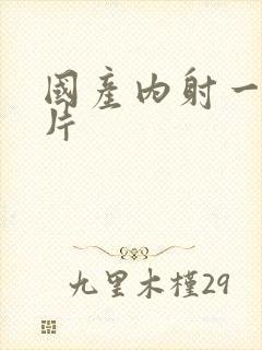 国产内射一级一片封面