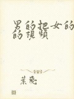 男的把女的操爽的视频