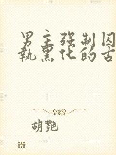 男主强制囚禁偏执黑化的古言