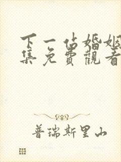 下一站婚姻34集免费观看