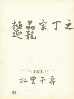 极品家丁之四凤迎龙