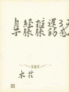 月经推迟3天肚子胀胀的感觉乳房胀痛封面