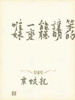 唯一能让笨蛋妹妹变聪明的方法只有我的游戏封面