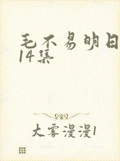 毛不易明日之子14集