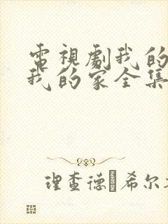 电视剧我的孩子我的家全集播放