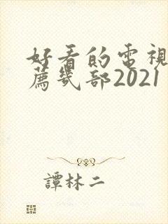 好看的电视剧推荐几部2021