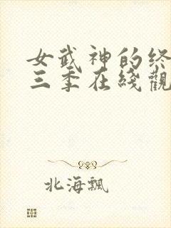 女武神的终末第三季在线观看封面