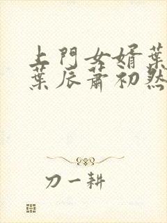 上门女婿叶辰 叶辰萧初然531