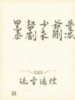 黑帮少爷爱上我泰剧未删减