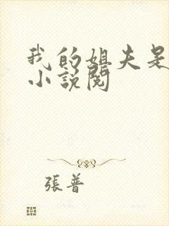 我的姐夫是太子小说阅