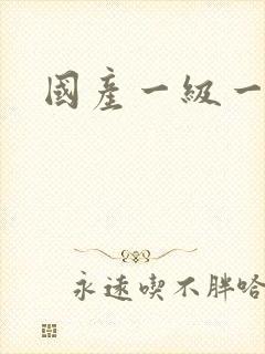 国产一级一内射