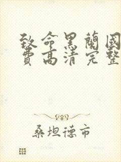 致命黑兰国语免费高清完整版在线观看