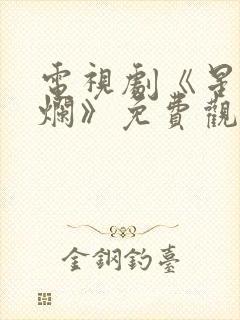 电视剧《星汉灿烂》免费观看