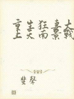 重生狂妻大佬宠上天南景战北庭