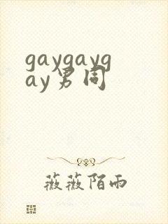 gaygaygay男同