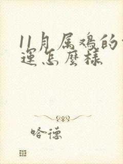 11月属鸡的命运怎么样