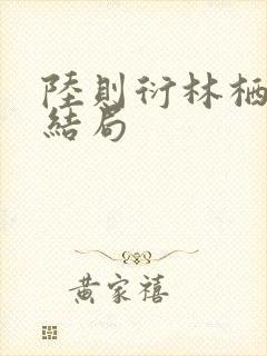 陆则衍林栖后续结局封面