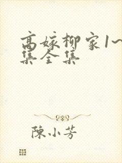 高嫁柳家1~6集全集
