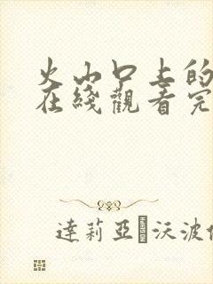 火山口上的两人在线观看完整免费封面