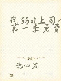 我的xl上司令第一季免费观看最新一期