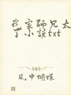 我家师兄太稳健了小说txt