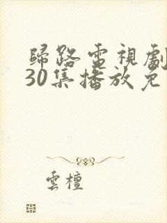 归路电视剧全集30集播放免费观看