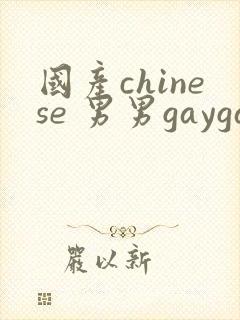 国产chinese 男男gaygay网站