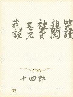 我又被亲哭了小说免费阅读封面