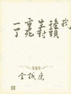 一重生后我嫁给了死对头