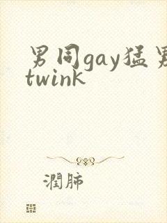 男同gay猛男twink