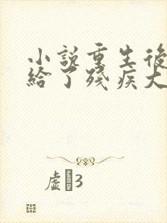 小说重生后我嫁给了残疾大佬更新