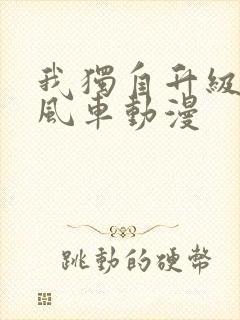 我独自升级动漫风车动漫