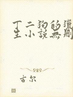 丁二狗的猎艳人生小说无删减小说