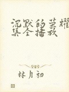 沉默的荣耀40集全播放封面